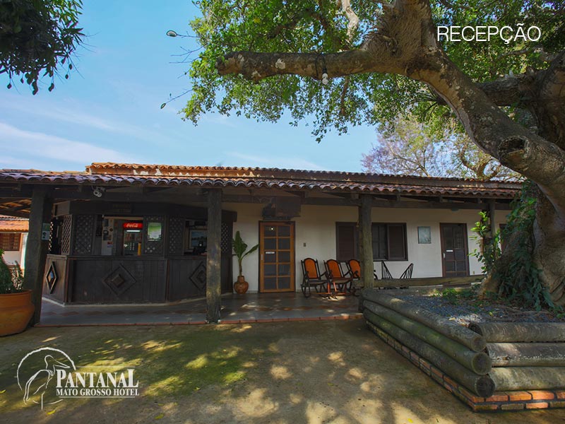 Pantanal (4).jpg
