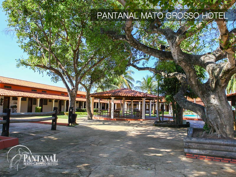 Pantanal (8).jpg