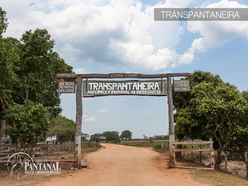 Pantanal (9).jpg