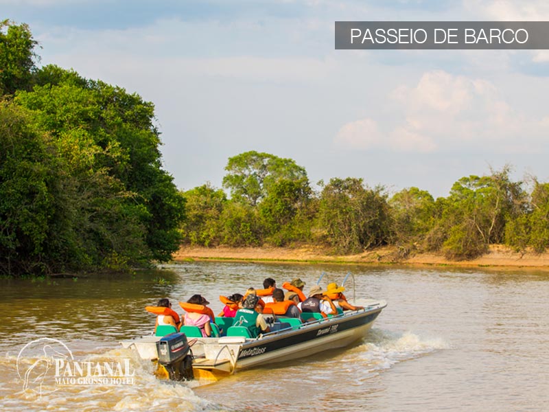Pantanal (11).jpg