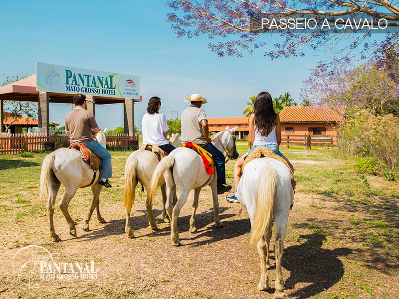 Pantanal (14).jpg
