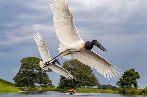 hotel tuiuiu_26_11zon.jpg