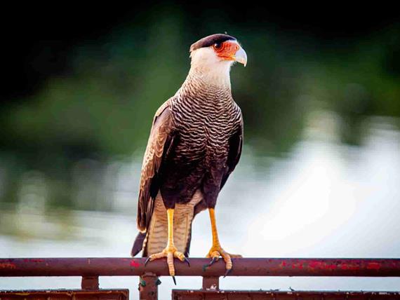 hotel carcará 2_16.jpg