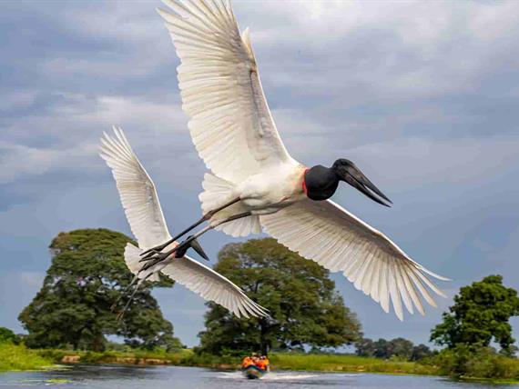 hotel tuiuiu_26_11zon.jpg