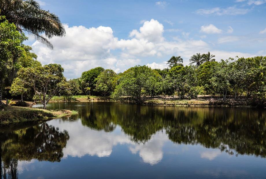 casa do lago (4).jpg