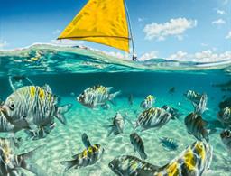 Pousada Perola do Porto