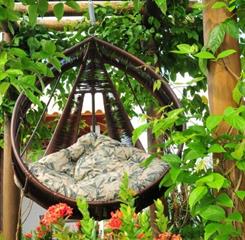 whatsapp image 2023-08-23 at 15.29.31.jpeg