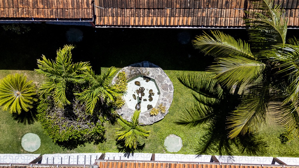 dji_20250228100840_0003_d.jpg