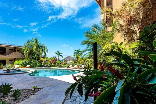 ndh corte omnibees (215 de 270).jpg