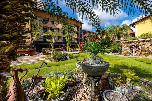 ndh corte omnibees (20 de 270).jpg