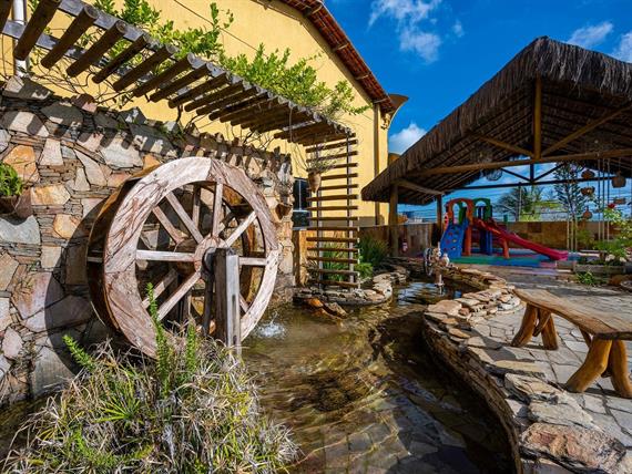 ndh corte omnibees (6 de 270).jpg