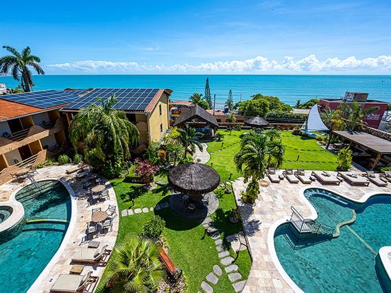 ndh corte omnibees (270 de 270).jpg