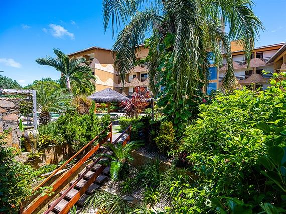 ndh corte omnibees (205 de 270).jpg