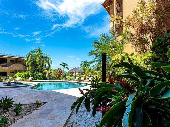 ndh corte omnibees (215 de 270).jpg