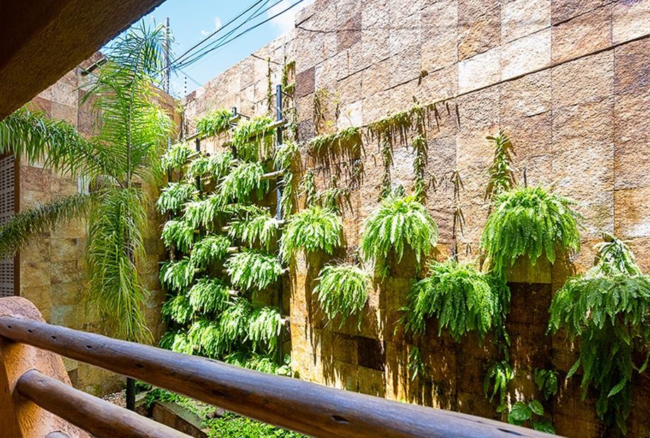 ndh corte omnibees (168 de 270).jpg