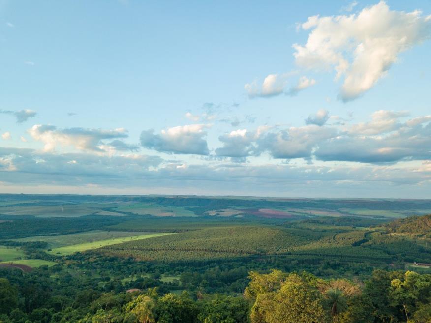 dji_0029.jpg