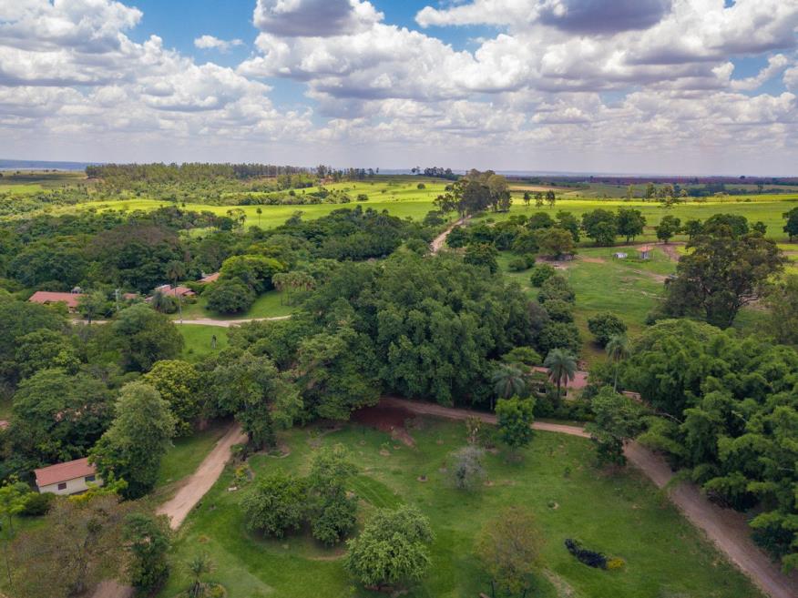 dji_0082.jpg