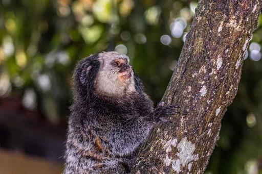 whatsapp image 2023-06-26 at 23.56.54 (12).jpeg