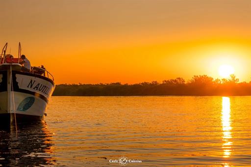 whatsapp image 2022-07-15 at 05.41.47 (4).jpeg