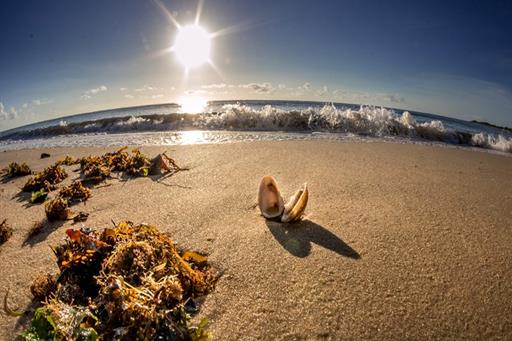 whatsapp image 2022-07-15 at 05.41.47 (23).jpeg