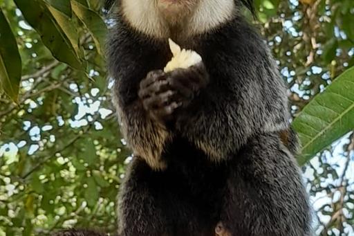 whatsapp image 2022-07-15 at 06.05.37.jpeg