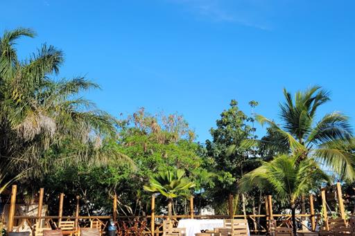 whatsapp image 2022-07-15 at 06.07.45.jpeg