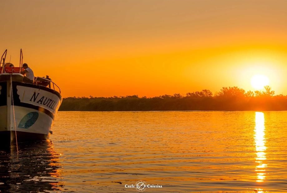 whatsapp image 2022-07-15 at 05.41.47 (4).jpeg