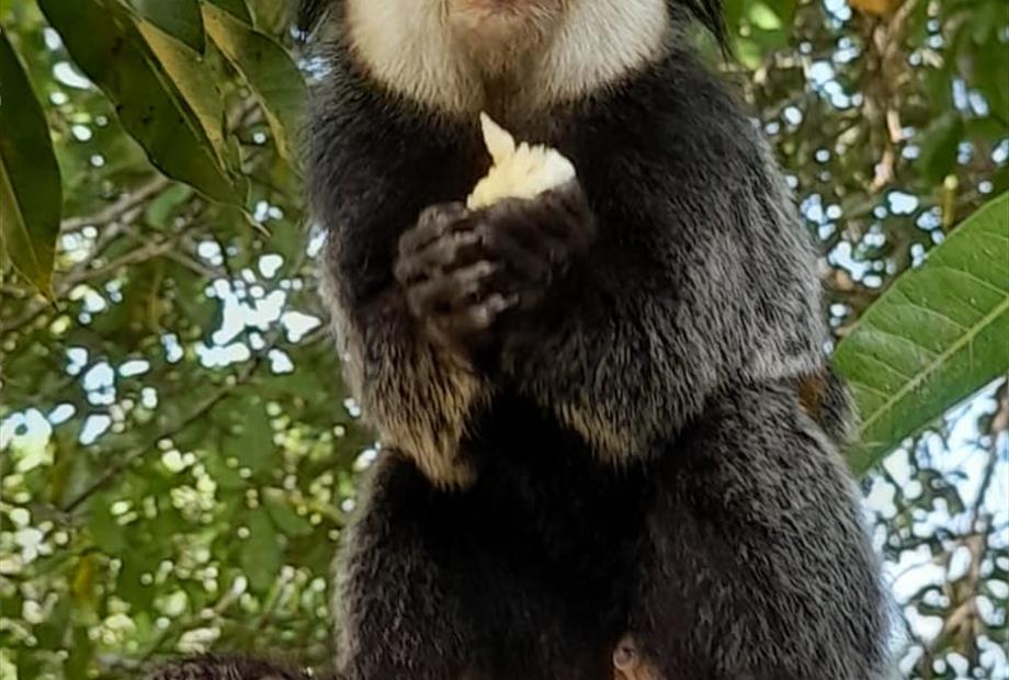 whatsapp image 2022-07-15 at 06.05.37.jpeg