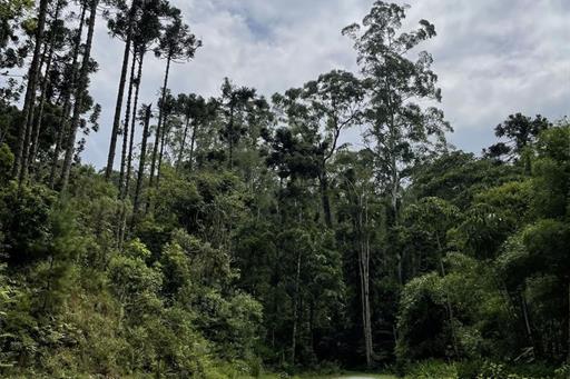 villago embu trilhas (4).jpg