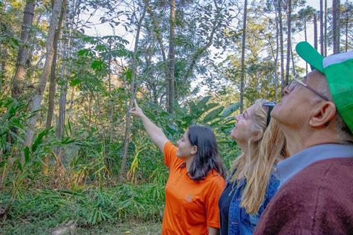 villagio embu trilhas (1).jpg