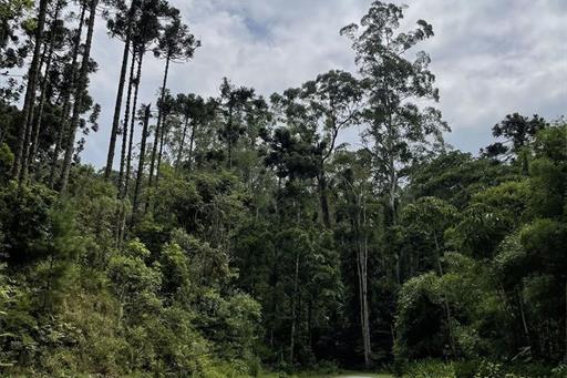 villago embu trilhas (4).jpg