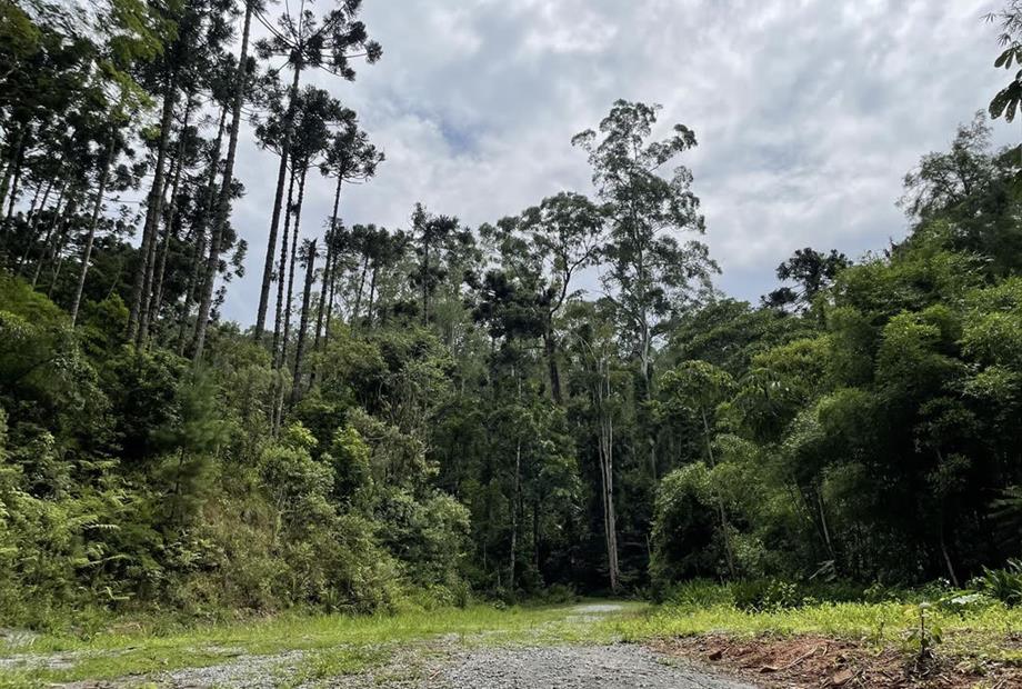 villago embu trilhas (3).jpg