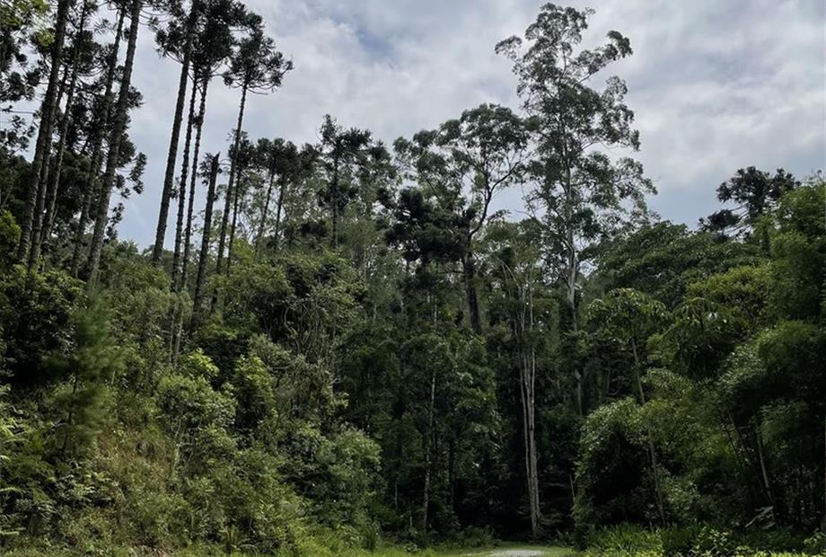 villago embu trilhas (4).jpg