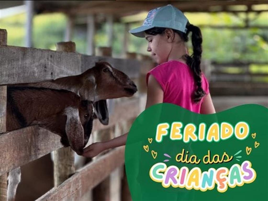 Feriado Dia das Crianças