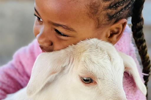 whatsapp image 2022-06-28 at 10.33.06.jpeg