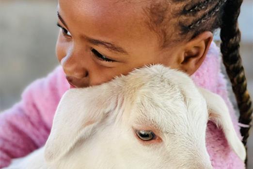 whatsapp image 2022-06-28 at 10.33.06.jpeg