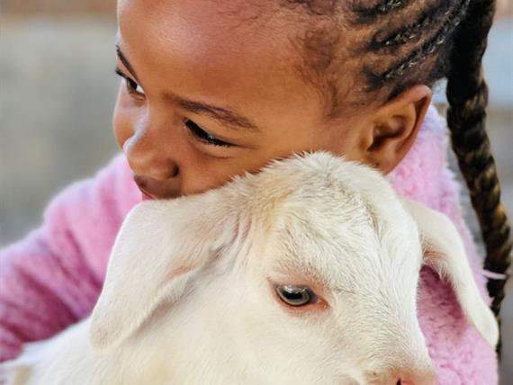 whatsapp image 2022-06-28 at 10.33.06.jpeg