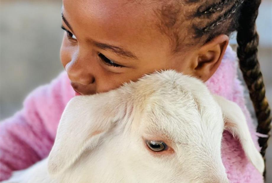 whatsapp image 2022-06-28 at 10.33.06.jpeg