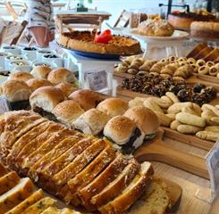 whatsapp image 2023-03-03 at 17.09.53.jpeg