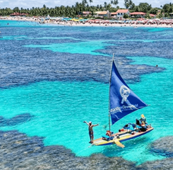 porto de galinhasss (1).png