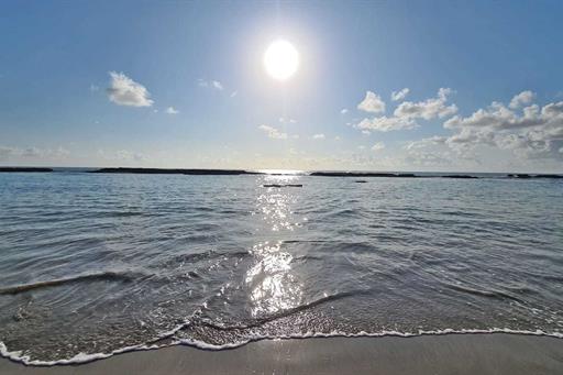 whatsapp image 2023-01-12 at 15.29.16 (1).jpeg