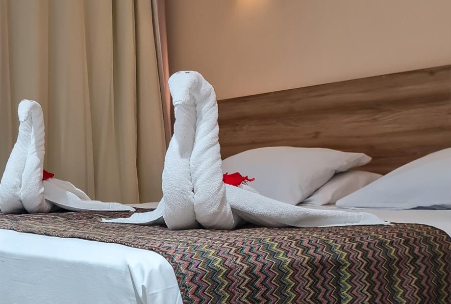 standard casal 5.jpg