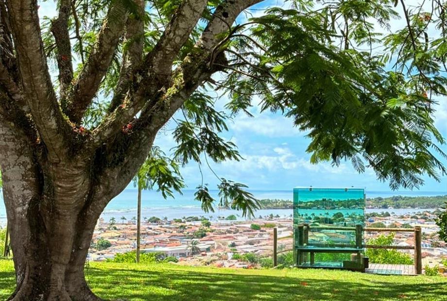 whatsapp image 2026-02-06 at 14.21.44 (1).jpeg