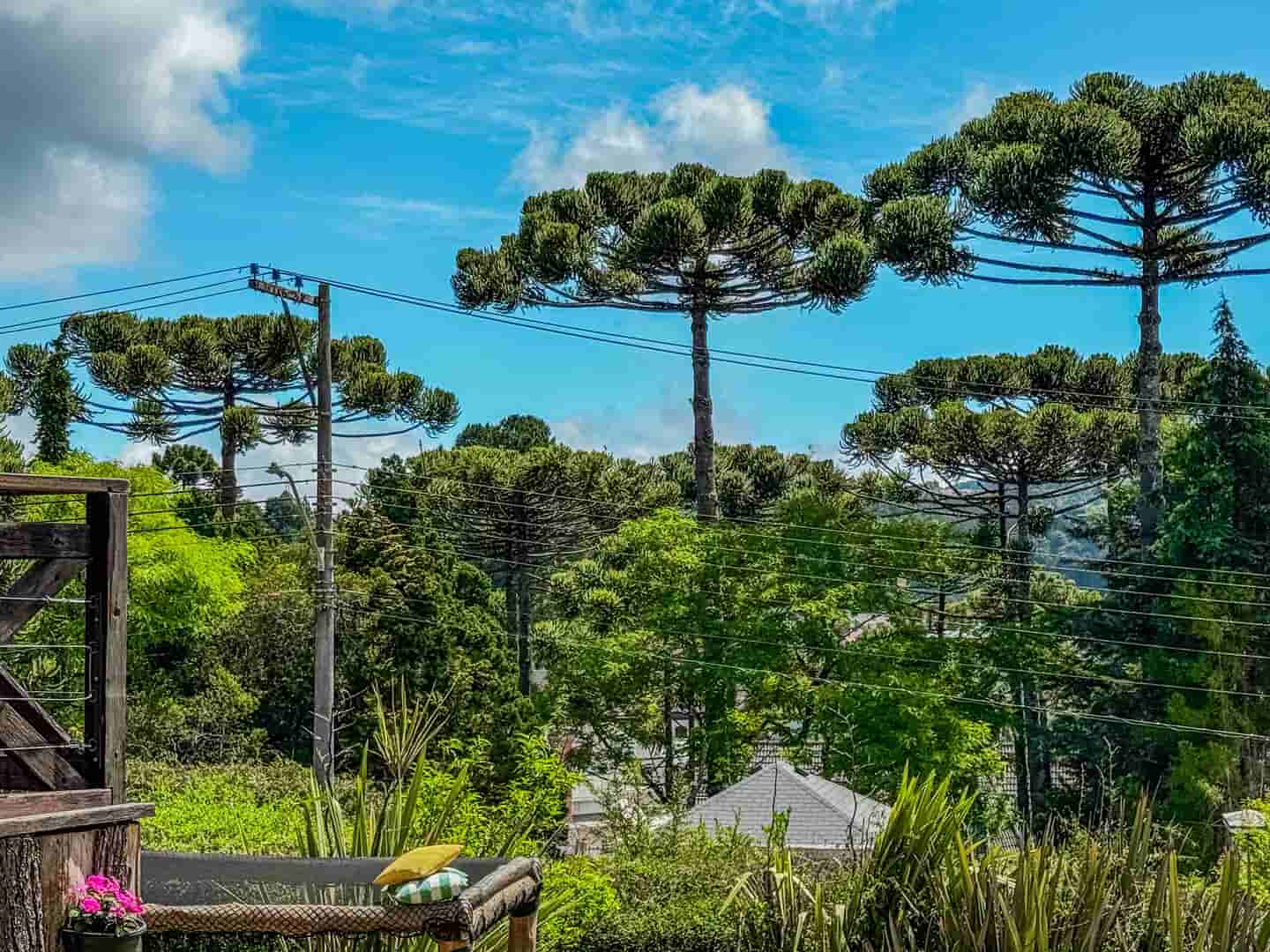 Imagem ilustrativa do hotel Pousada Victoria Villa Campos do Jordão