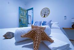 Quarto Quádruplo Econômico - Aptos Mangue Seco e Cavalo Marinho