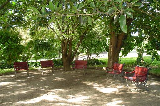 oásis jardins 2.jpg