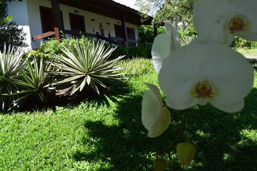 oásis - jardins 1.jpg