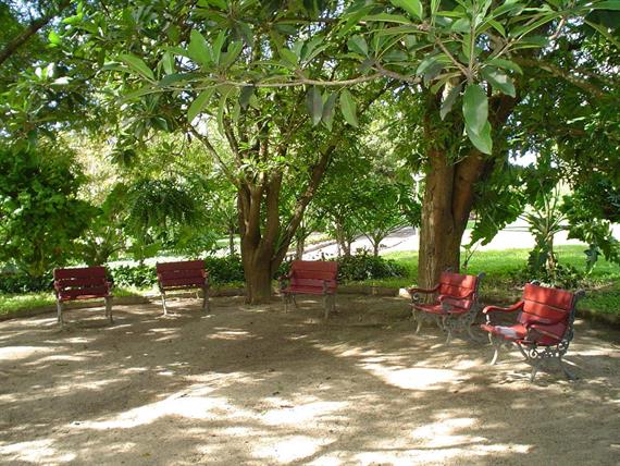 oásis jardins 2.jpg