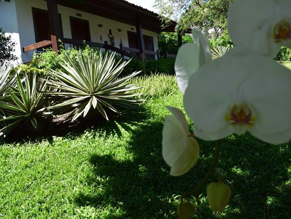 oásis - jardins 1.jpg