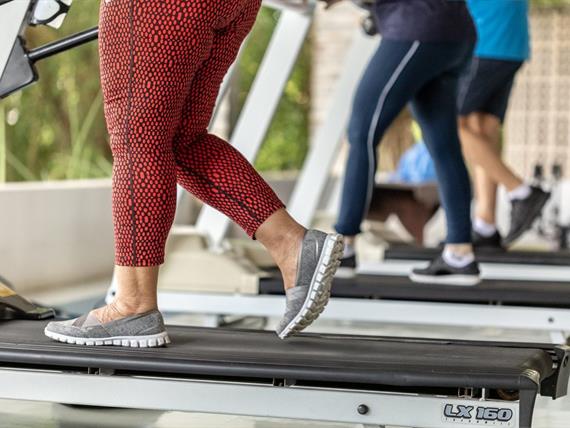 oásis academia 4.jpg